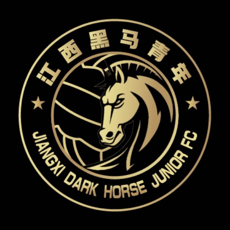  官方：江西黑馬青年完成異地遷移程序，更名為溫州職業(yè)足球俱樂部